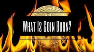 What Is Coin Burn?