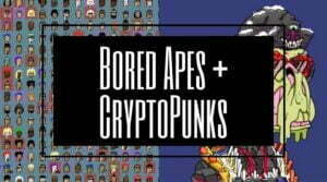 Bored Apes + CryptoPunks